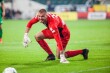 Vanja Milinković-Savić