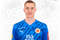 Tarik Karić