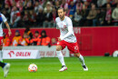 Grzegorz Krychowiak