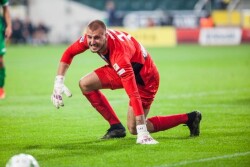 Vanja Milinković-Savić