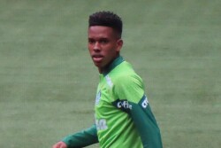 Estevao Willian