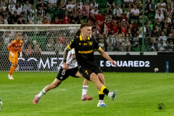 Maciej Rosołek