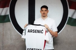 Zoran Arsenić