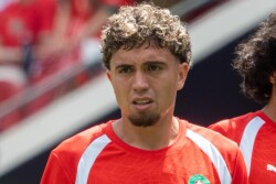 Neil El Aynaoui