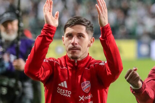 Srdjan Plavsic