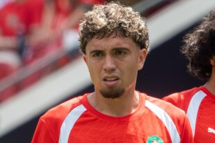 Neil El Aynaoui