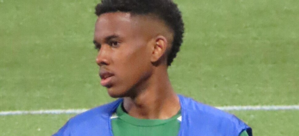 Estevao Willian