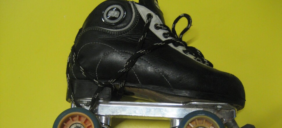 Roller hockey