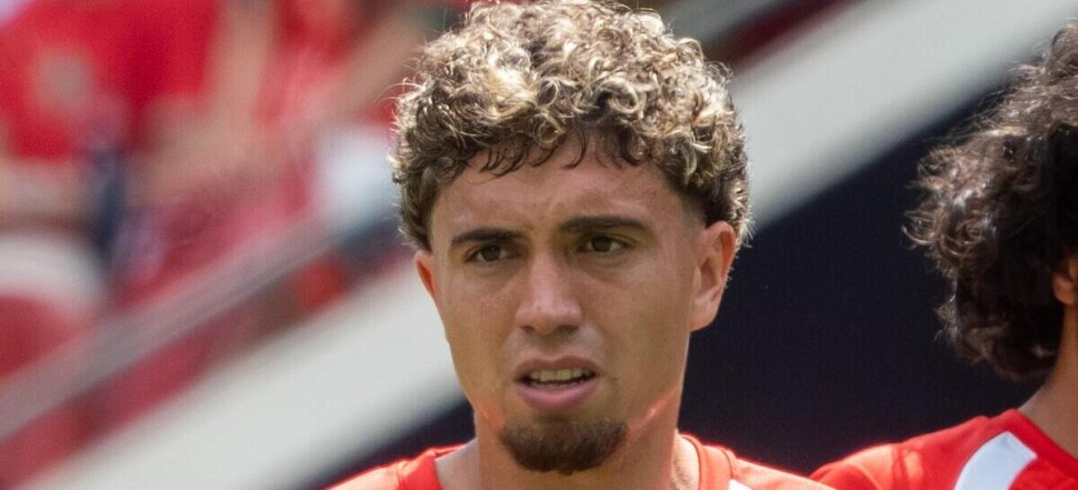 Neil El Aynaoui