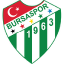 Herb drużyny Bursaspor