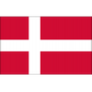 Herb drużyny Dania U19