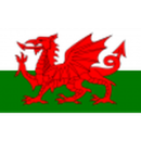 Herb drużyny Walia U19