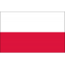 Herb drużyny Polska U19