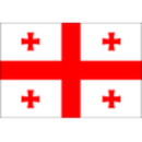 Herb drużyny Gruzja