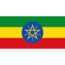 Herb drużyny Ethiopia