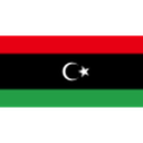 Herb drużyny Libya