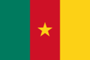 Herb drużyny Kamerun