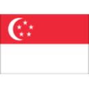 Herb drużyny Singapur