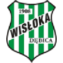Herb drużyny Wisłoka Dębica