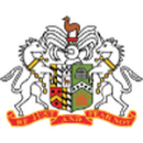 Herb drużyny Glenavon FC