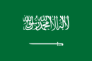 Herb drużyny Arabia Saudyjska
