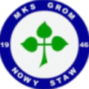 Herb drużyny Grom Nowy Staw