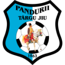 Herb drużyny Pandurii