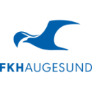 Herb drużyny Haugesund
