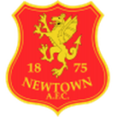 Herb drużyny Newtown