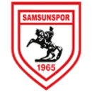 Herb drużyny Samsunspor