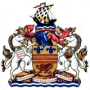 Herb drużyny Barry Town