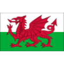 Herb drużyny Walia