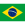 Herb drużyny Brazylia