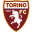 Herb drużyny Torino