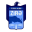 Herb drużyny Zira