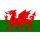 Herb drużyny Walia U19