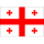 Herb drużyny Gruzja