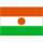 Herb drużyny Niger