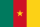 Herb drużyny Kamerun