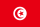 Herb drużyny Tunisia U23