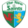 Herb drużyny The New Saints