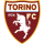 Herb drużyny Torino