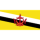 Herb drużyny Brunei