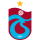 Herb drużyny Trabzonspor