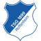 Herb TSG Hoffenheim